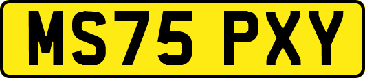 MS75PXY