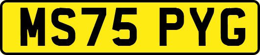 MS75PYG