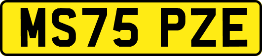 MS75PZE