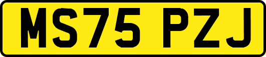 MS75PZJ