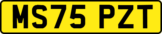 MS75PZT
