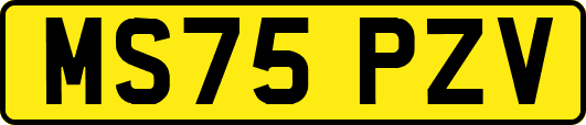 MS75PZV