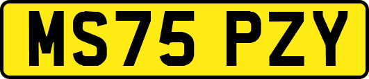 MS75PZY