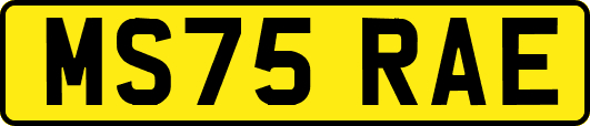 MS75RAE
