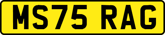 MS75RAG