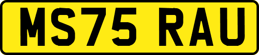 MS75RAU