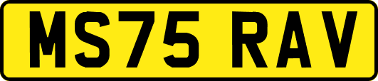 MS75RAV