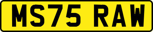 MS75RAW