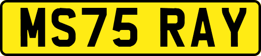 MS75RAY