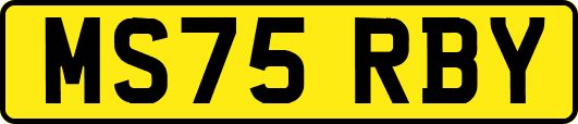 MS75RBY