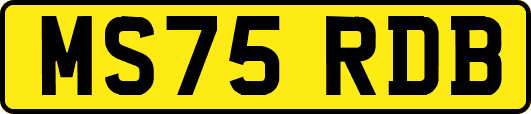 MS75RDB
