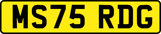MS75RDG