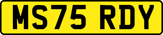 MS75RDY