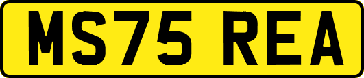 MS75REA