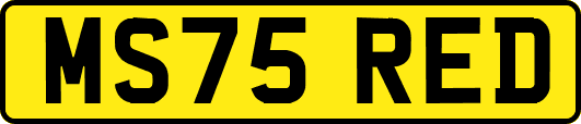 MS75RED