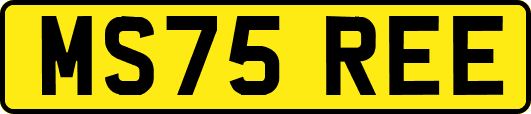 MS75REE