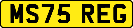 MS75REG