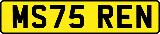 MS75REN