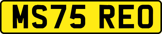 MS75REO