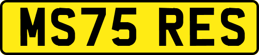 MS75RES