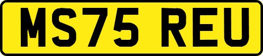 MS75REU