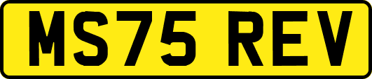 MS75REV