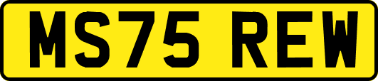 MS75REW
