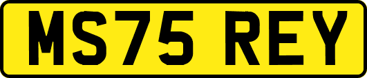 MS75REY