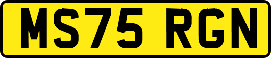 MS75RGN