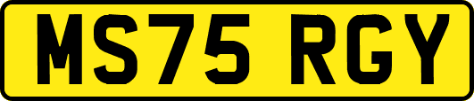 MS75RGY
