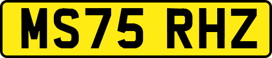 MS75RHZ