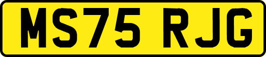 MS75RJG