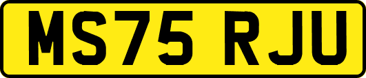MS75RJU