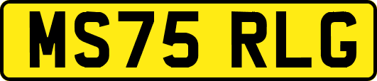 MS75RLG