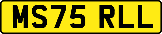 MS75RLL