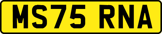 MS75RNA