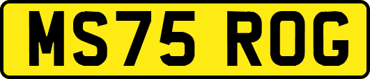 MS75ROG