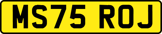 MS75ROJ