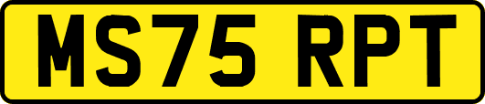 MS75RPT