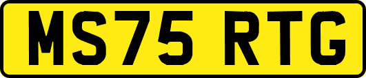 MS75RTG