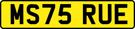 MS75RUE