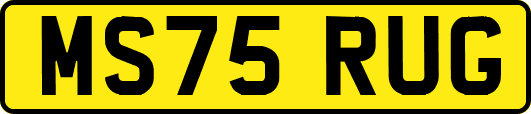MS75RUG