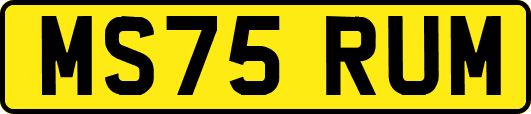 MS75RUM