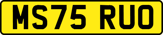 MS75RUO