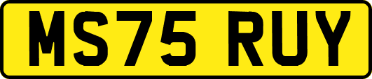 MS75RUY
