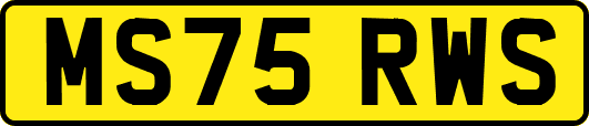 MS75RWS