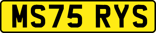 MS75RYS