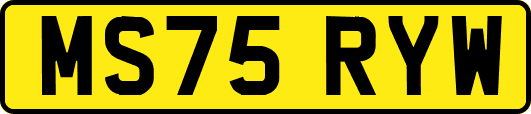 MS75RYW