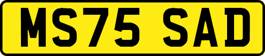MS75SAD