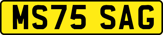 MS75SAG